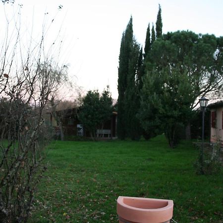 Podere La Vecchia Fornace 코르토나 외부 사진